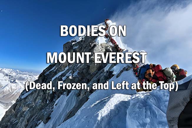 Dead, Frozen, and Left at the Top