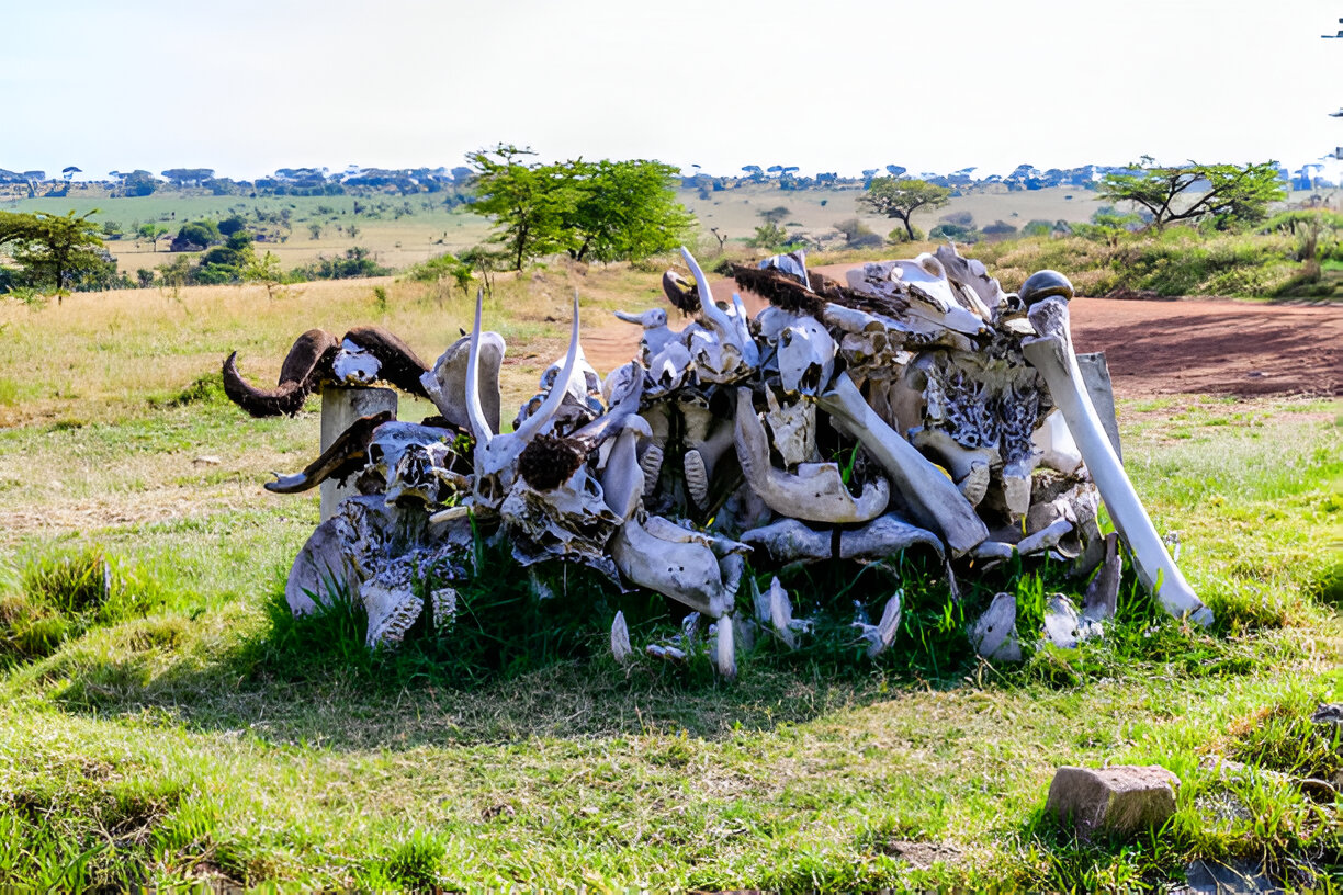 Hidden Gems of Tanzania