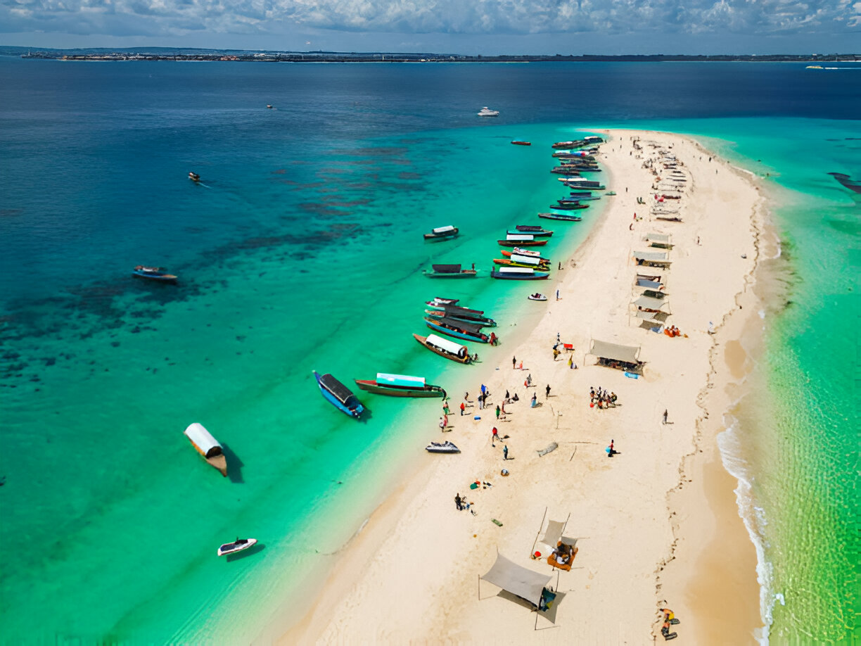 Safari on a Tropical Island