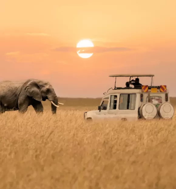 in any required fields