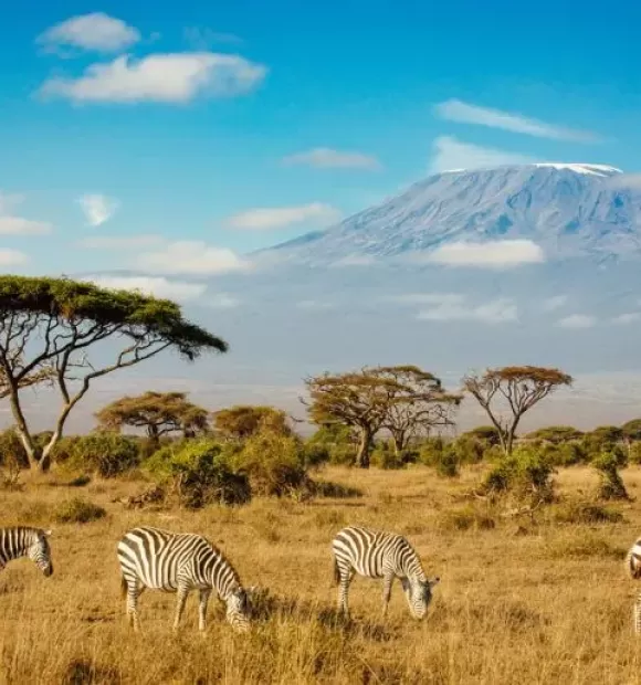 in any required fields