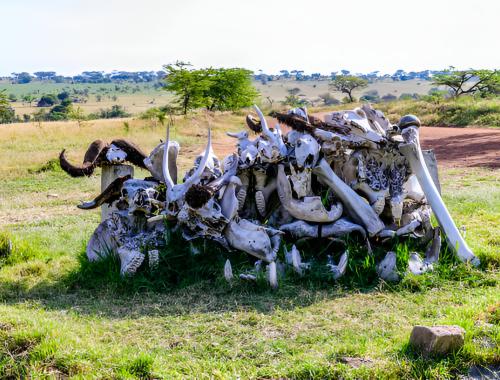 Hidden Gems of Tanzania